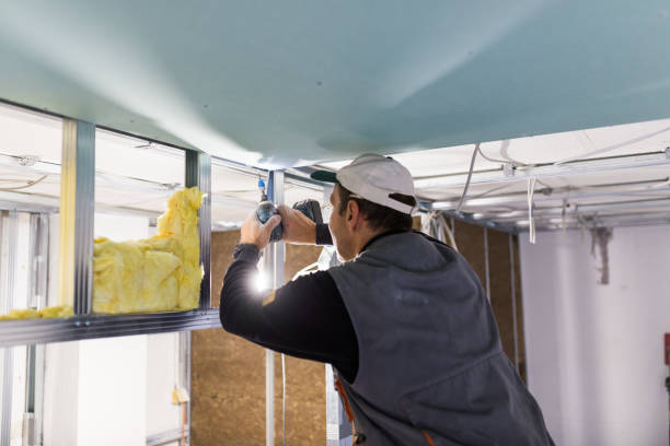 Best Spray Foam Insulation in Oblong, IL