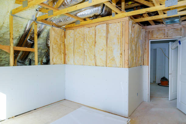 Best Eco-Friendly Insulation in Oblong, IL