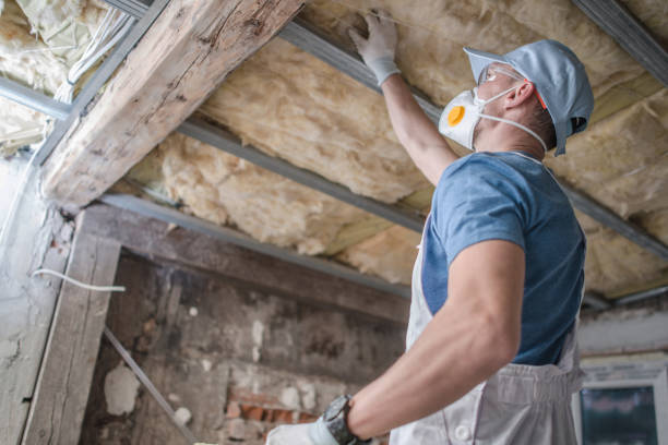 Best Residential Insulation in Oblong, IL