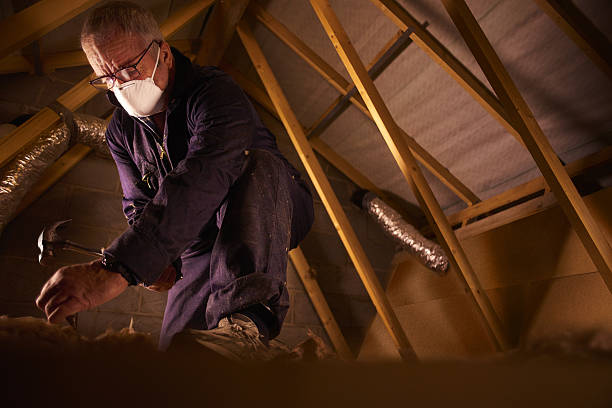 Best DIY Insulation Kits and Guidance in Oblong, IL